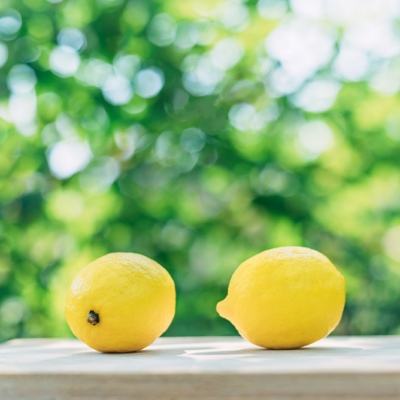 暮界众玩app下载